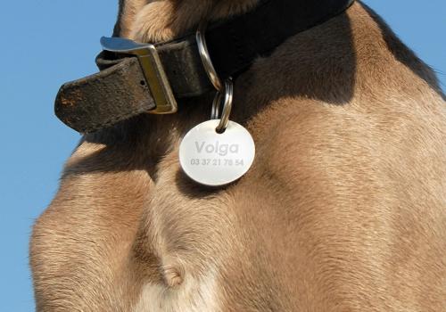 Pet and dog tag engraving | Gravotech